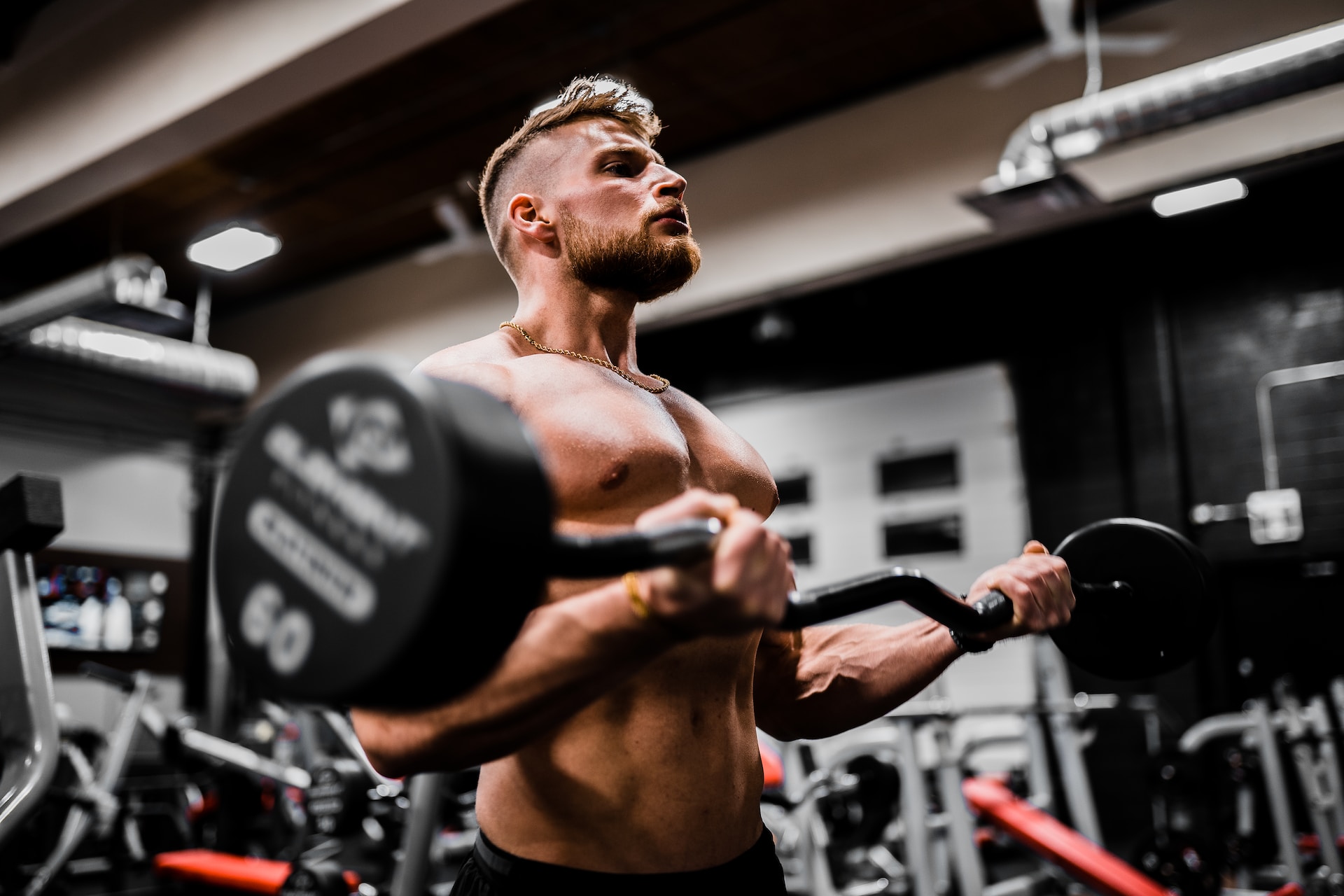 trening na zwiększenie bicepsów i tricepsów